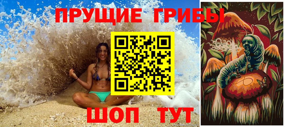 Псилоцибиновые грибы Psilocybine cubensis Якутск